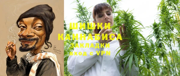 ПСИЛОЦИБИНОВЫЕ ГРИБЫ Карпинск