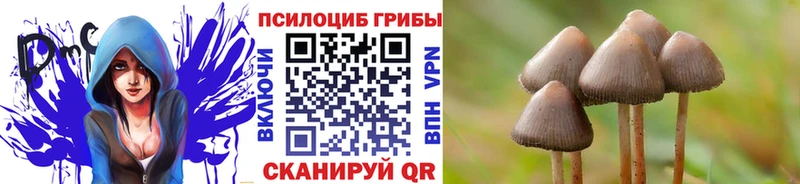 гидра сайт  Клинцы  Галлюциногенные грибы ЛСД 